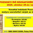 Vonattal az 1. Pozsonyi Élő Rózsafüzér Zarándoklatra - Plakát